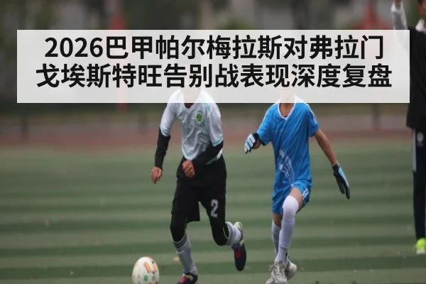 2026巴甲帕尔梅拉斯对弗拉门戈埃斯特旺告别战表现深度复盘
